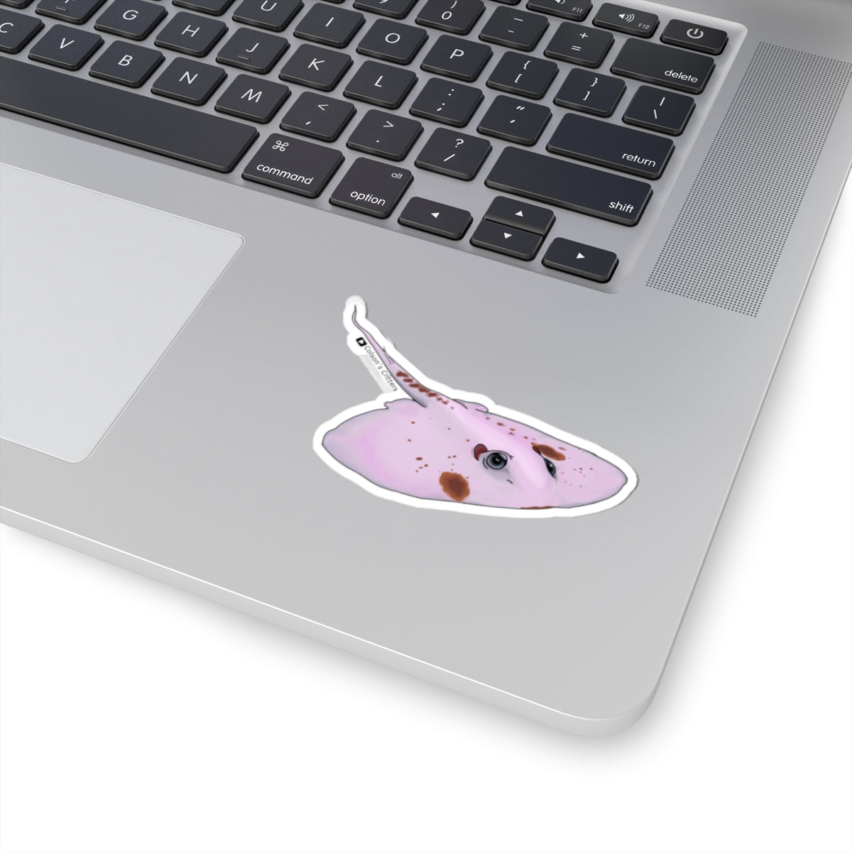 Freckles The Stingray Sticker